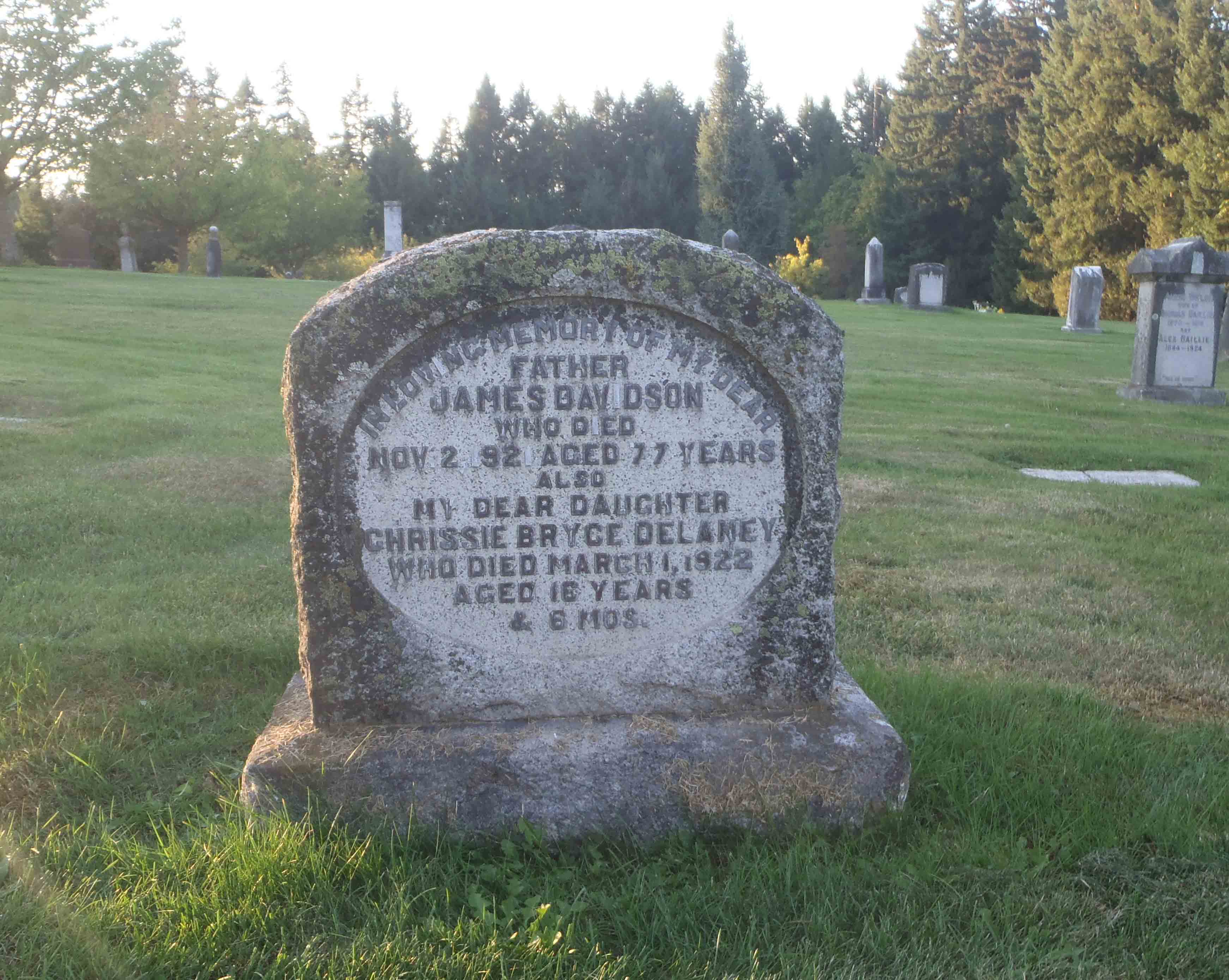 James Davison grave, Ladysmith cemetery